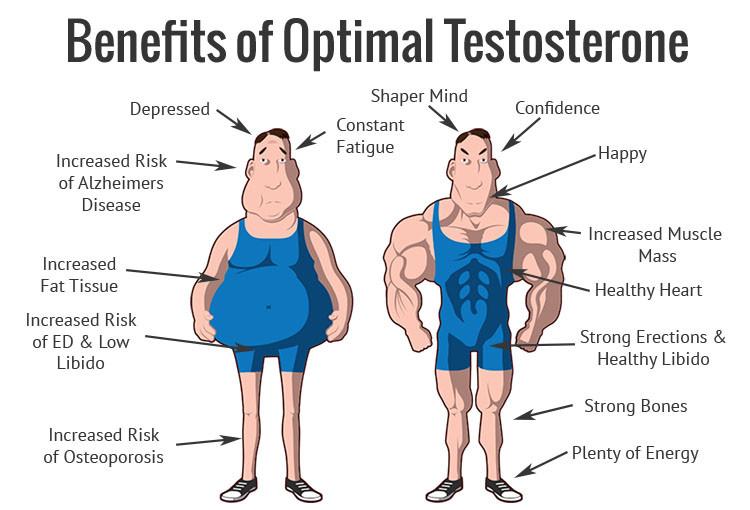 testosterone benefici